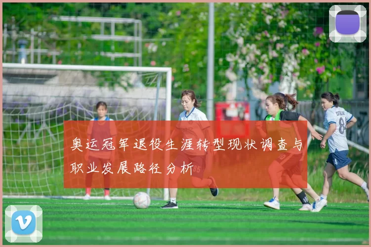 奥运冠军退役生涯转型现状调查与职业发展路径分析