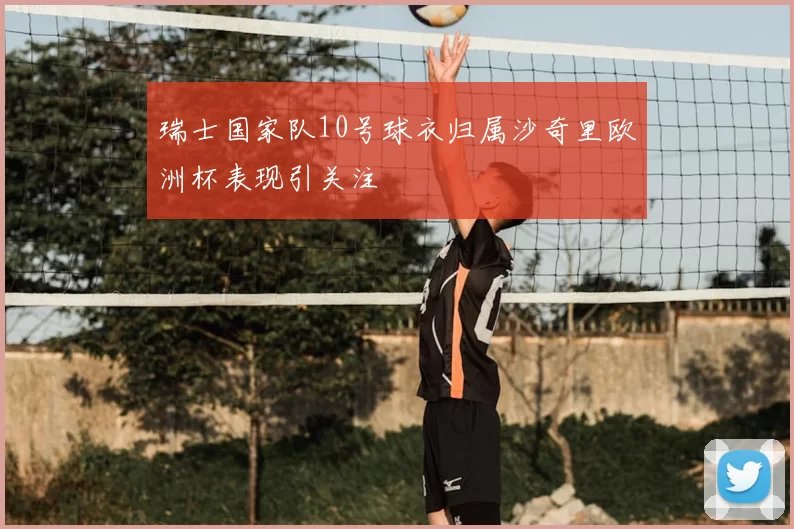 瑞士国家队10号球衣归属沙奇里欧洲杯表现引关注