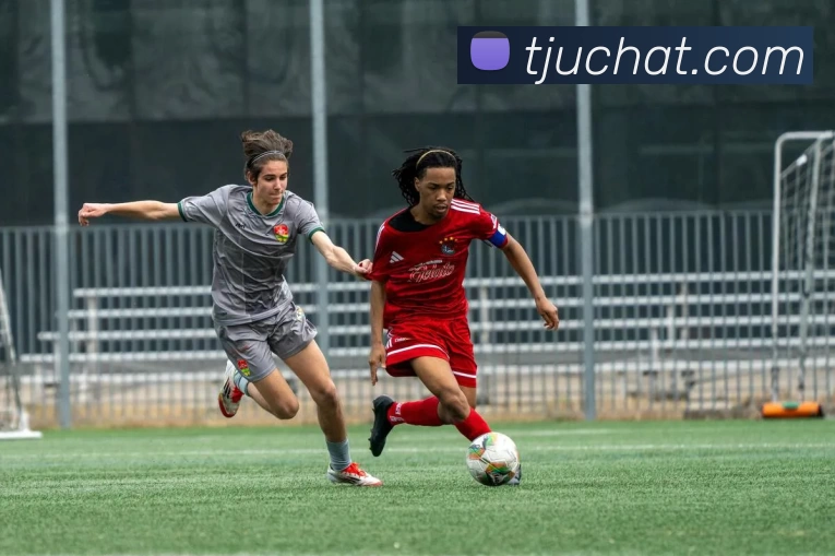 世界杯体育在线(中国)唯一官方网站发展历程